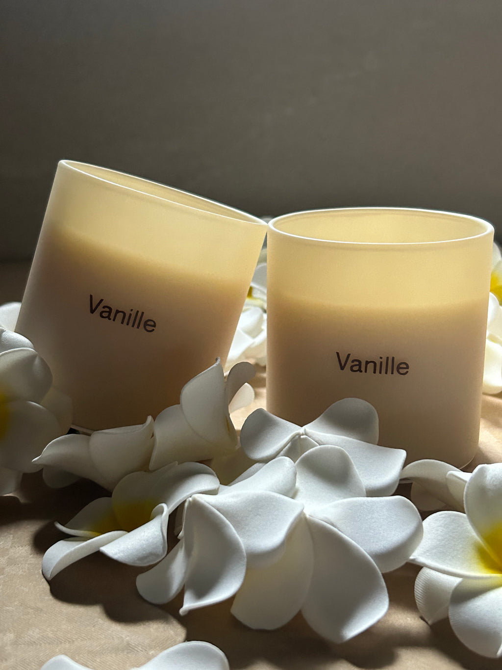 Bougie Vanille Moyen – 360 ml